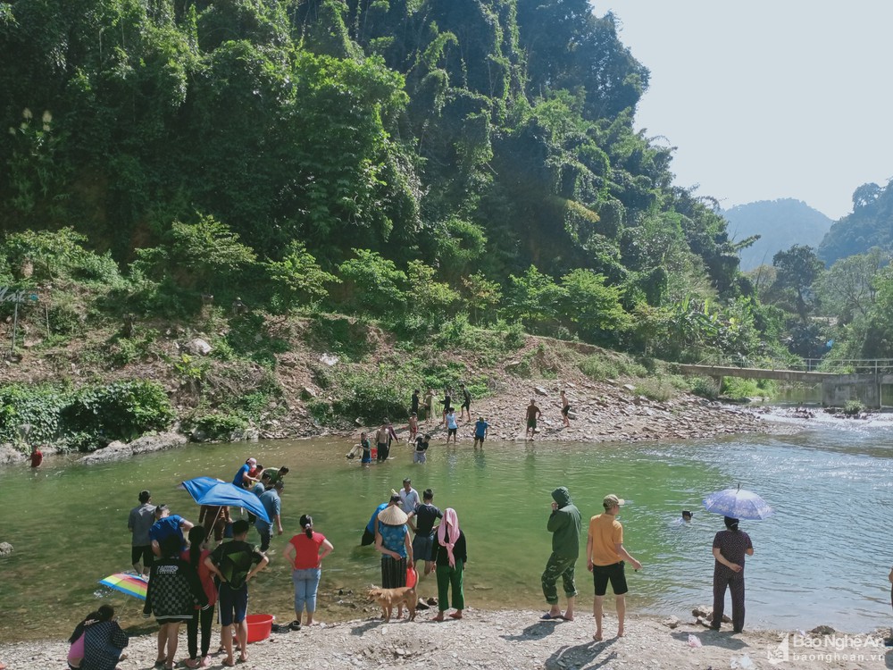 Ở vùng này Nghệ An, dân giữ suối cả năm, một ngày đẹp trời cả làng xuống bắt cá đặc sản đông vui như hội - Ảnh 1.