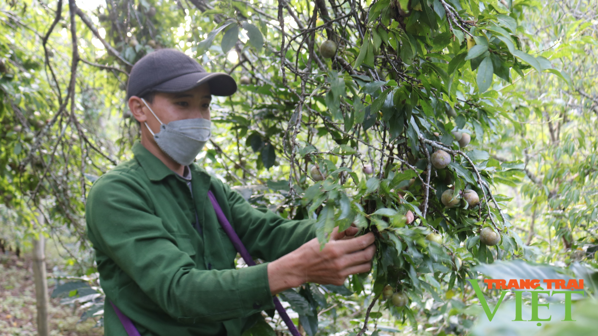 Nông thôn Tây Bắc: Huy động toàn lục xây dựng NTM nâng cao - Ảnh 3.