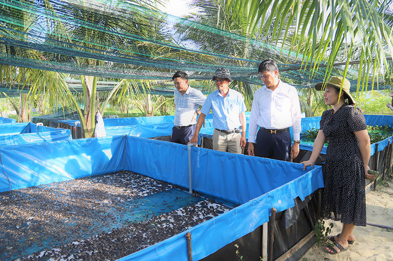 Khám phá hơn 65 về mô hình nuôi ếch ở tiền giang mới nhất  Tin học Đông Hòa