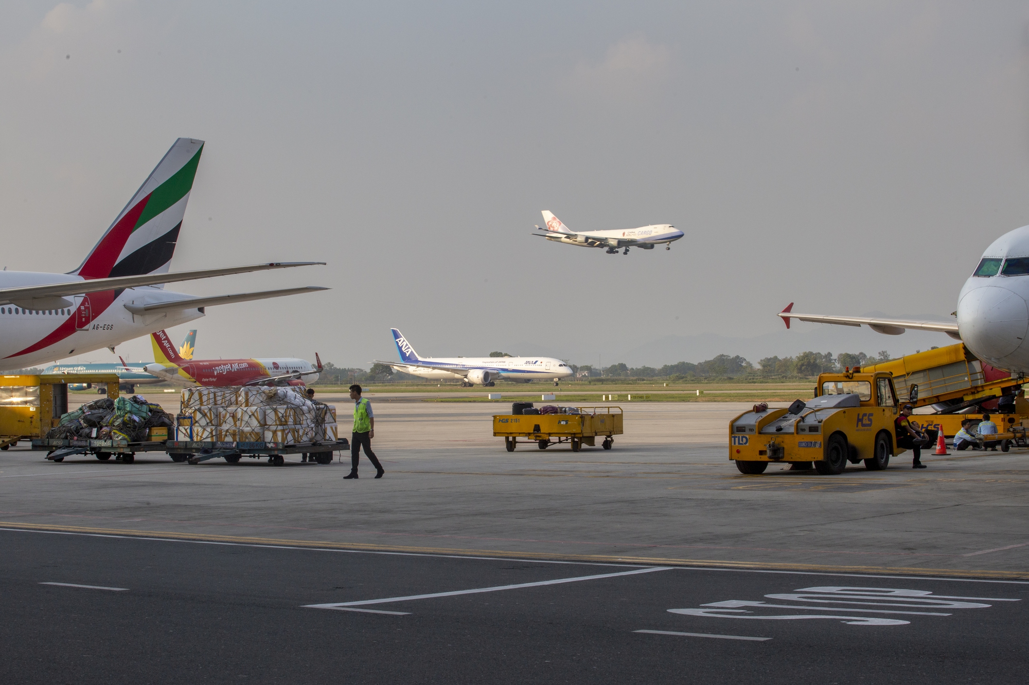 Động thái bất ngờ của IPP Air Cargo, Bộ GTVT báo cáo gì? - Ảnh 1.