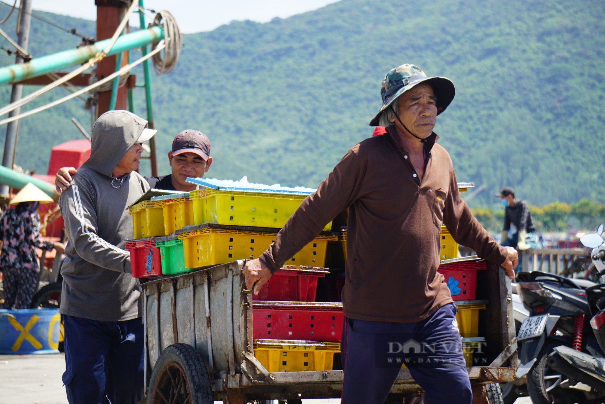 Giá xăng dầu tăng cao, ngư dân vươn khơi với nỗi lo thua lỗ - Ảnh 9.