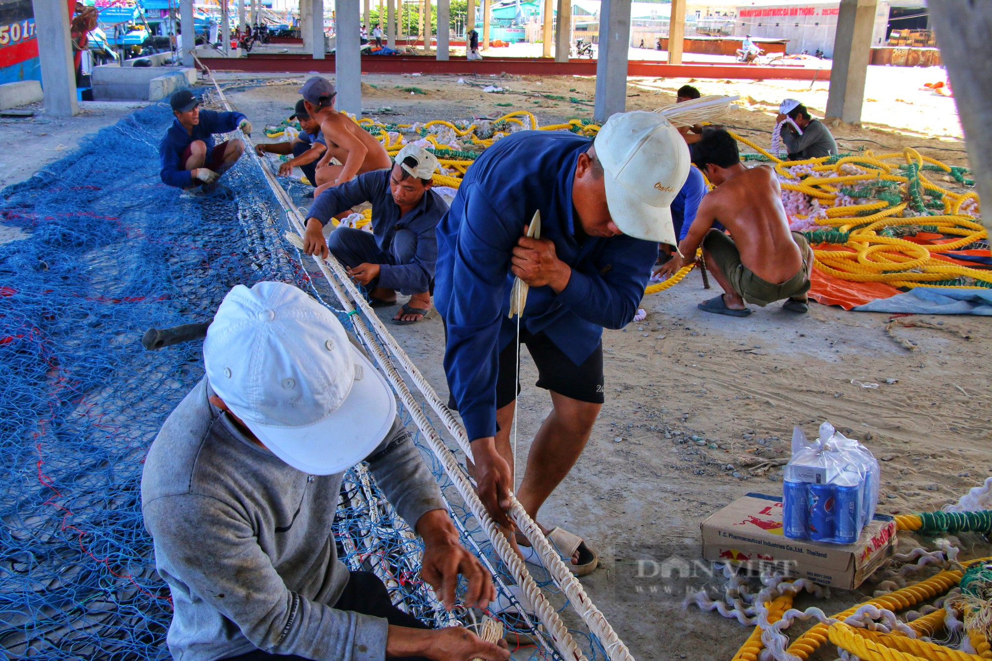 Giá xăng dầu tăng cao, ngư dân vươn khơi với nỗi lo thua lỗ - Ảnh 3.