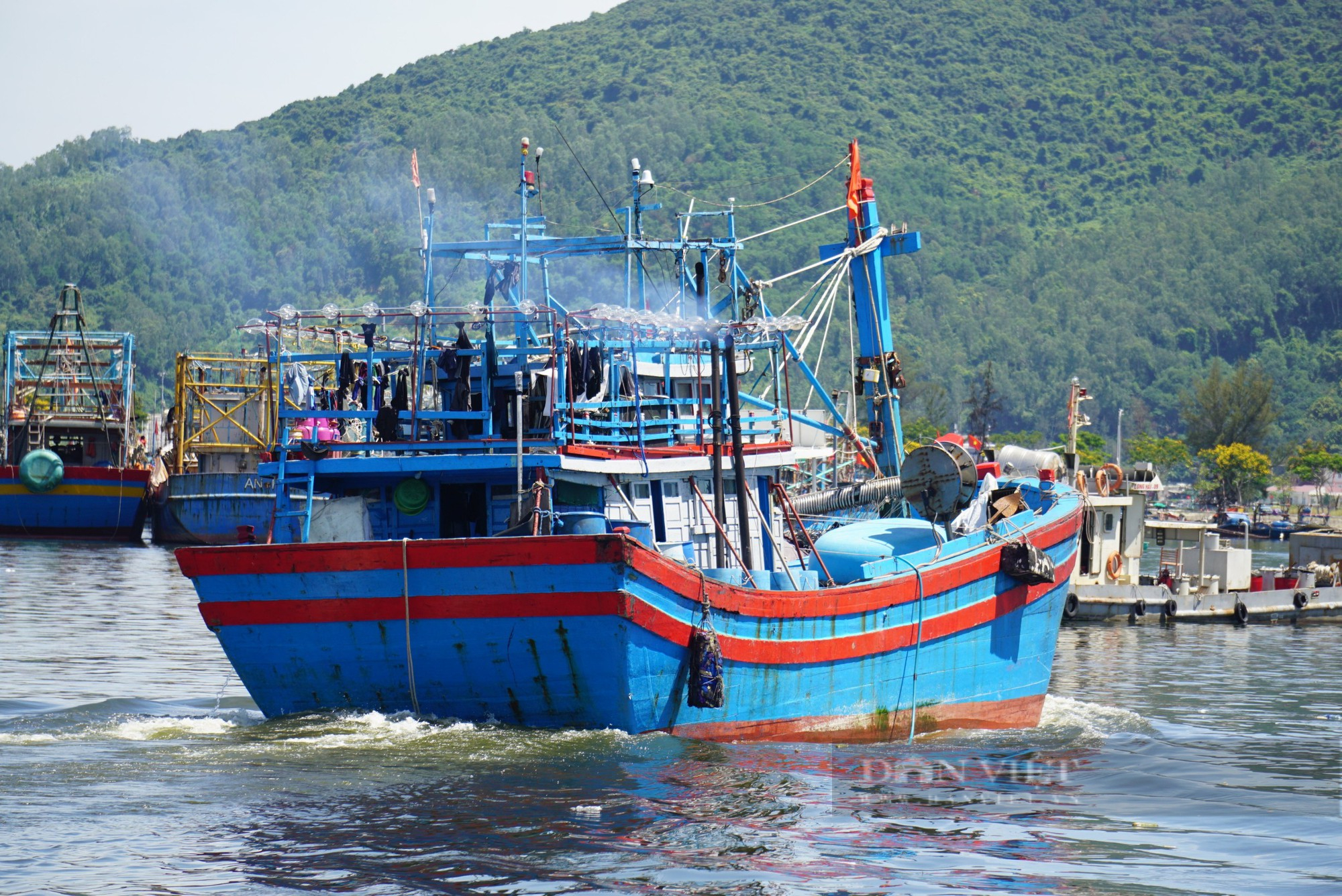 Giá xăng dầu tăng cao, ngư dân vươn khơi với nỗi lo thua lỗ - Ảnh 10.