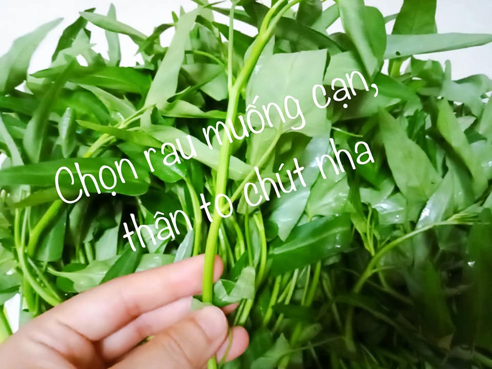 Mẹo nhỏ làm dưa rau muống chua ngọt giòn vàng bắt mắt - Ảnh 1.