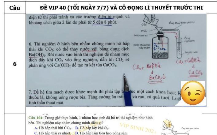 Bộ GDĐT phản hồi sau thông tin khởi tố 2 cá nhân làm lộ đề thi Sinh tốt nghiệp THPT 2021