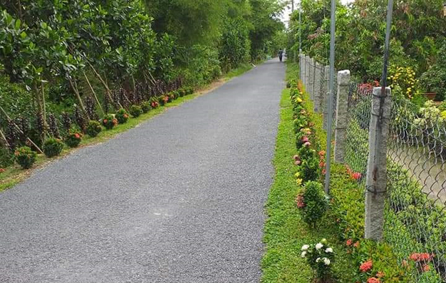 Con đường hoa nông thôn mới, đường trồng cây cảnh đẹp như phim, mê &quot;phát hờn&quot; ở huyện Cao Lãnh của Đồng Tháp - Ảnh 1.