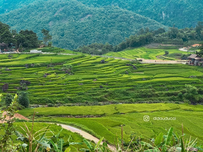 Pù Luông mùa lúa chín đẹp đến xiêu lòng - Ảnh 4.