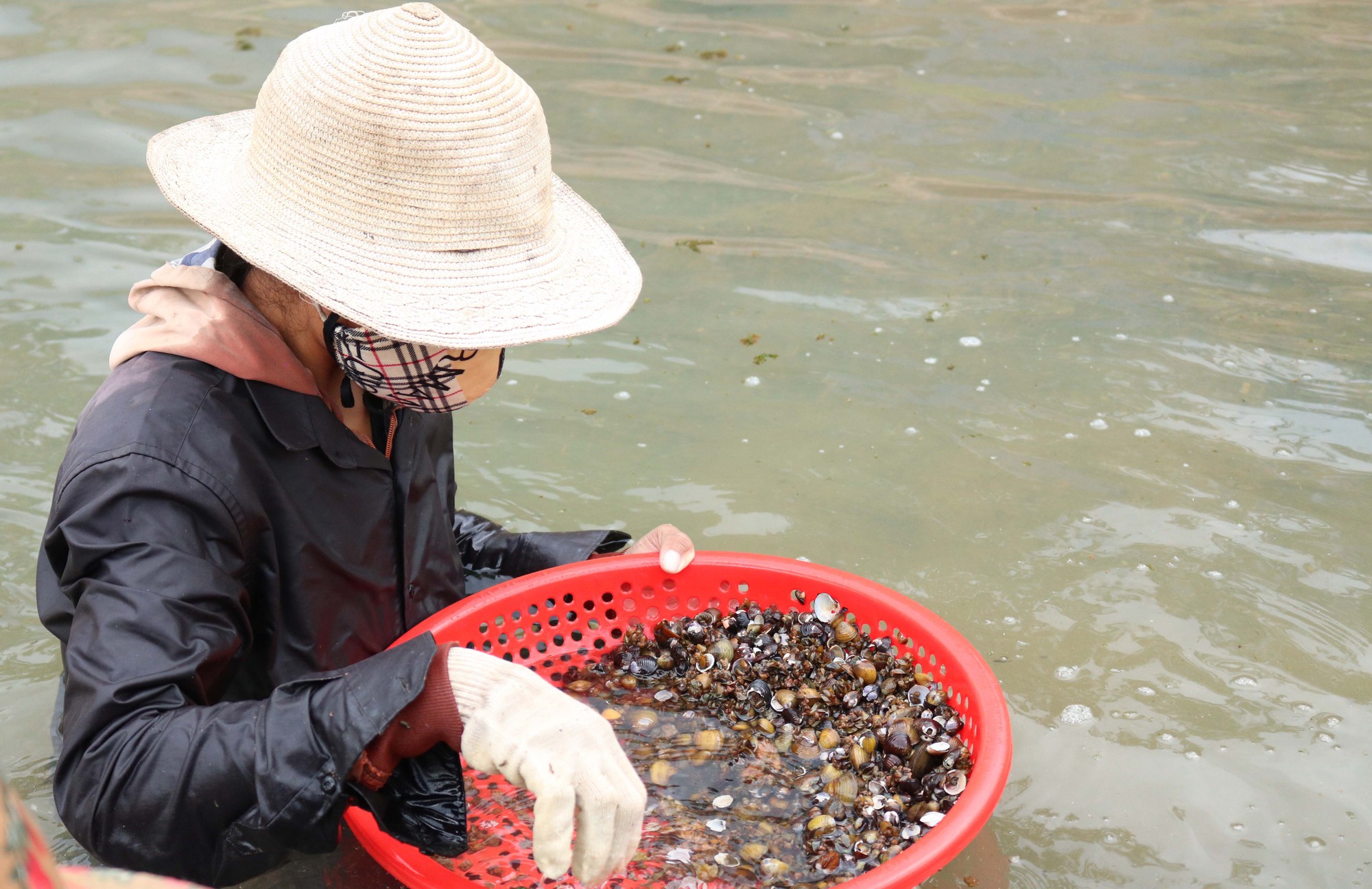 Dân Gia Lai lội kênh cào vô số con này, xưa ăn chống đói, nay nhà giàu ăn hôm trước hôm sau lại thèm - Ảnh 5.