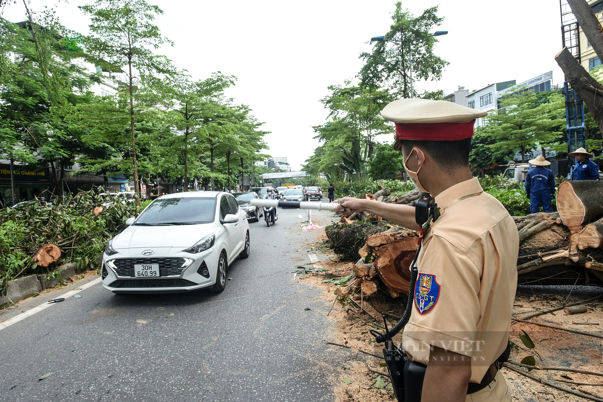 Hà Nội: &quot;Cụ&quot; đa trăm tuổi bất ngờ gãy nhánh khiến đường Võ Chí Công, ùn dài hàng km - Ảnh 3.