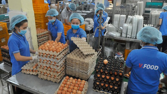 Giá trứng gà, vịt bình ổn chính thức tăng thêm 2.000 đồng/vỉ 10 quả - Ảnh 4.