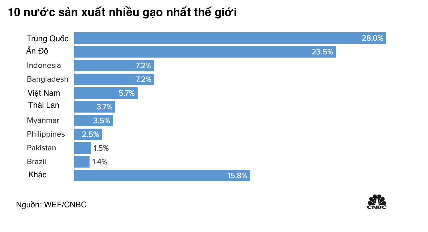 Thế giới có thể sắp “sốt” giá gạo? - Ảnh 1.