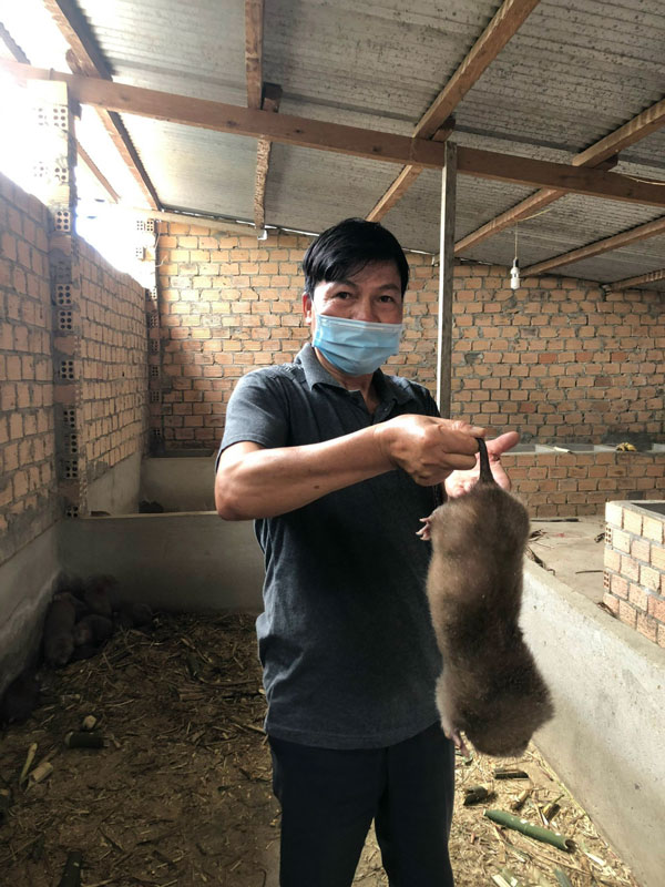 Nuôi con đặc sản muốn bắt cứ phải xách đuôi như chuột, chỉ ăn khúc tre, nông dân này ở Lâm Đồng giàu lên - Ảnh 1.