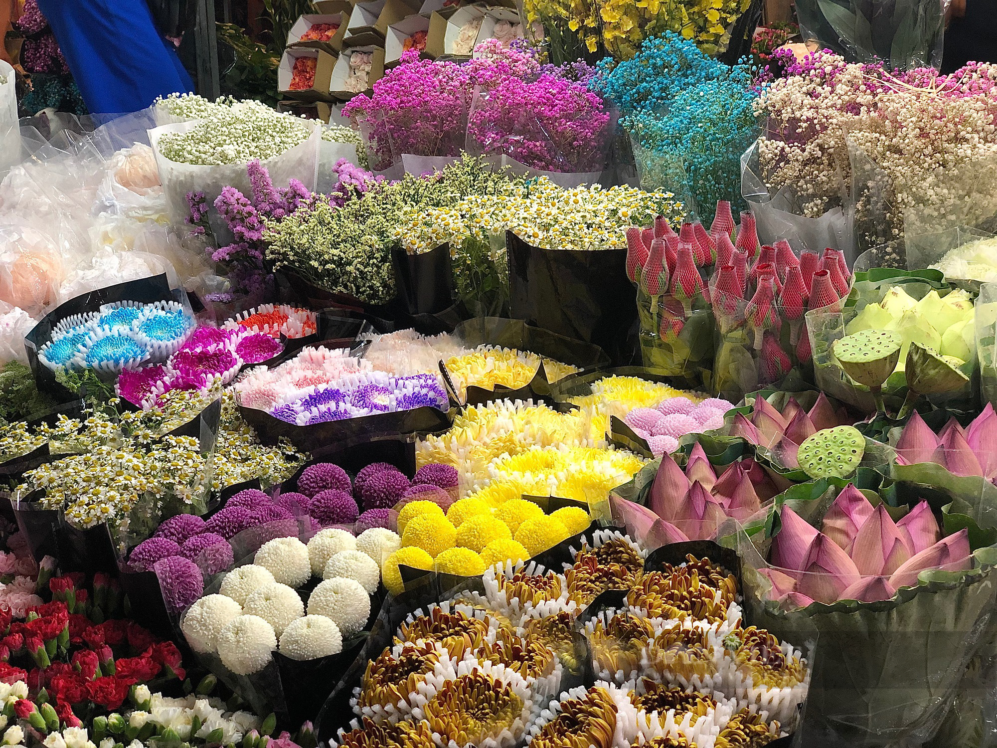 Giới trẻ Hà Thành &quot;say đắm&quot; khi đến chợ hoa lớn nhất miền Bắc - Ảnh 4.