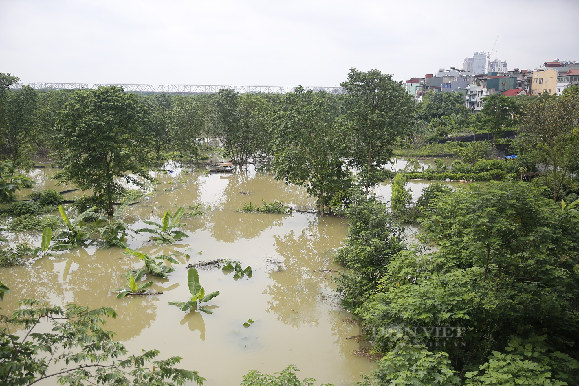 Nước sông Hồng dâng cao