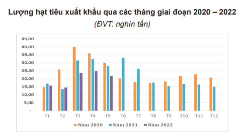 Trung Quốc "hút" hàng, giá hạt tiêu nội địa của Việt Nam tăng trở lại