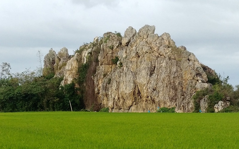 Gành đá mọc giữa đồng ở Phú Yên thu hút người đến xem được cấu tạo từ loại đá gì mà hình thù kỳ dị?