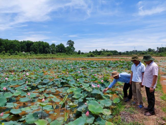 Chủ tịch Hội Nông dân TT-Huế: “Đẩy mạnh hỗ trợ nông dân phát triển sản xuất, tiêu thụ nông sản…” - Ảnh 2.