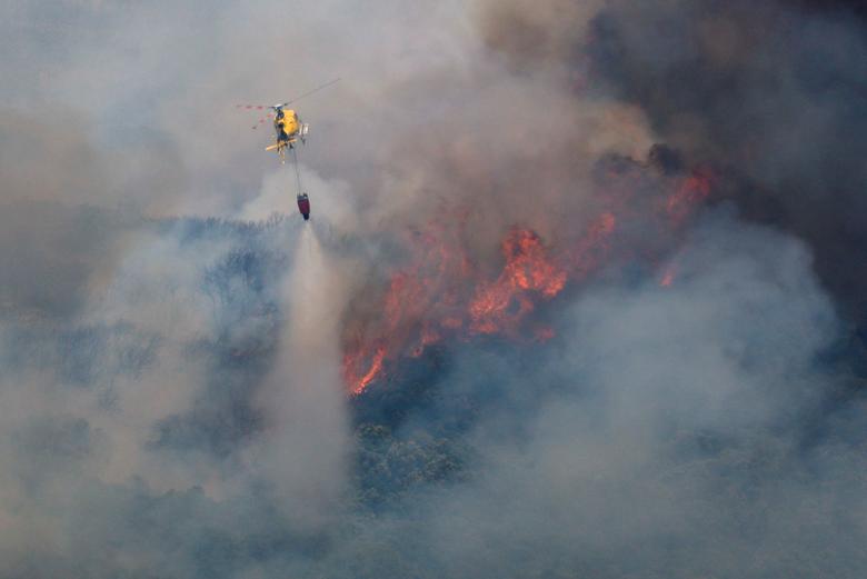 Nắng nóng, hơn 1.000 ha rừng tại Tây Ban Nha bị thiêu rụi vì cháy rừng - Ảnh 1.