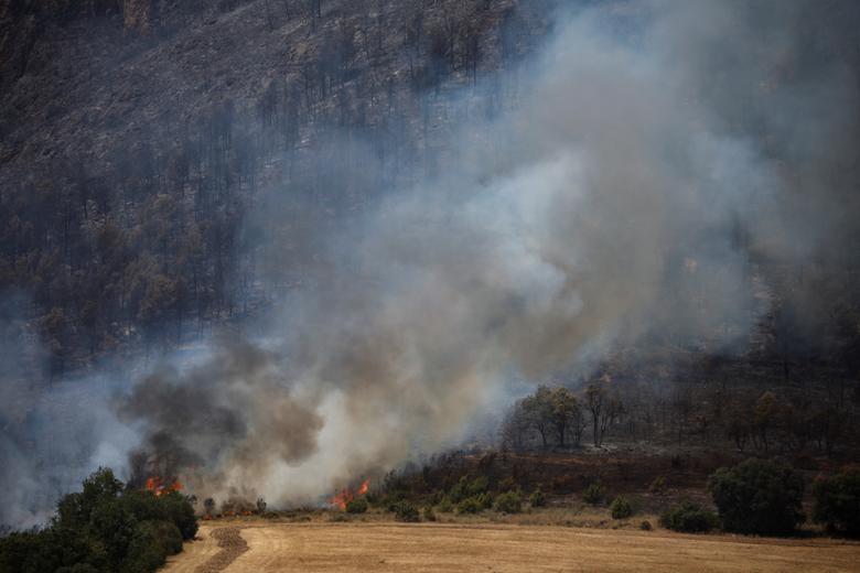 Nắng nóng, hơn 1.000 ha rừng tại Tây Ban Nha bị thiêu rụi vì cháy rừng - Ảnh 9.