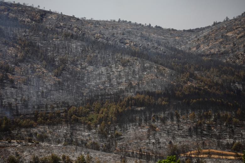 Nắng nóng, hơn 1.000 ha rừng tại Tây Ban Nha bị thiêu rụi vì cháy rừng - Ảnh 10.
