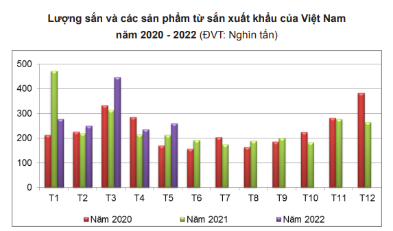 Trung Quốc tăng tốc thu mua, giá tinh bột sắn của Việt Nam tăng vọt - Ảnh 2.