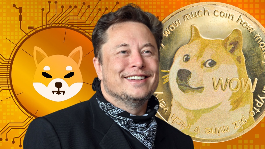 Elon Musk bị đòi bồi thường 258 tỷ USD vì thao túng Dogecoin - Ảnh 1.