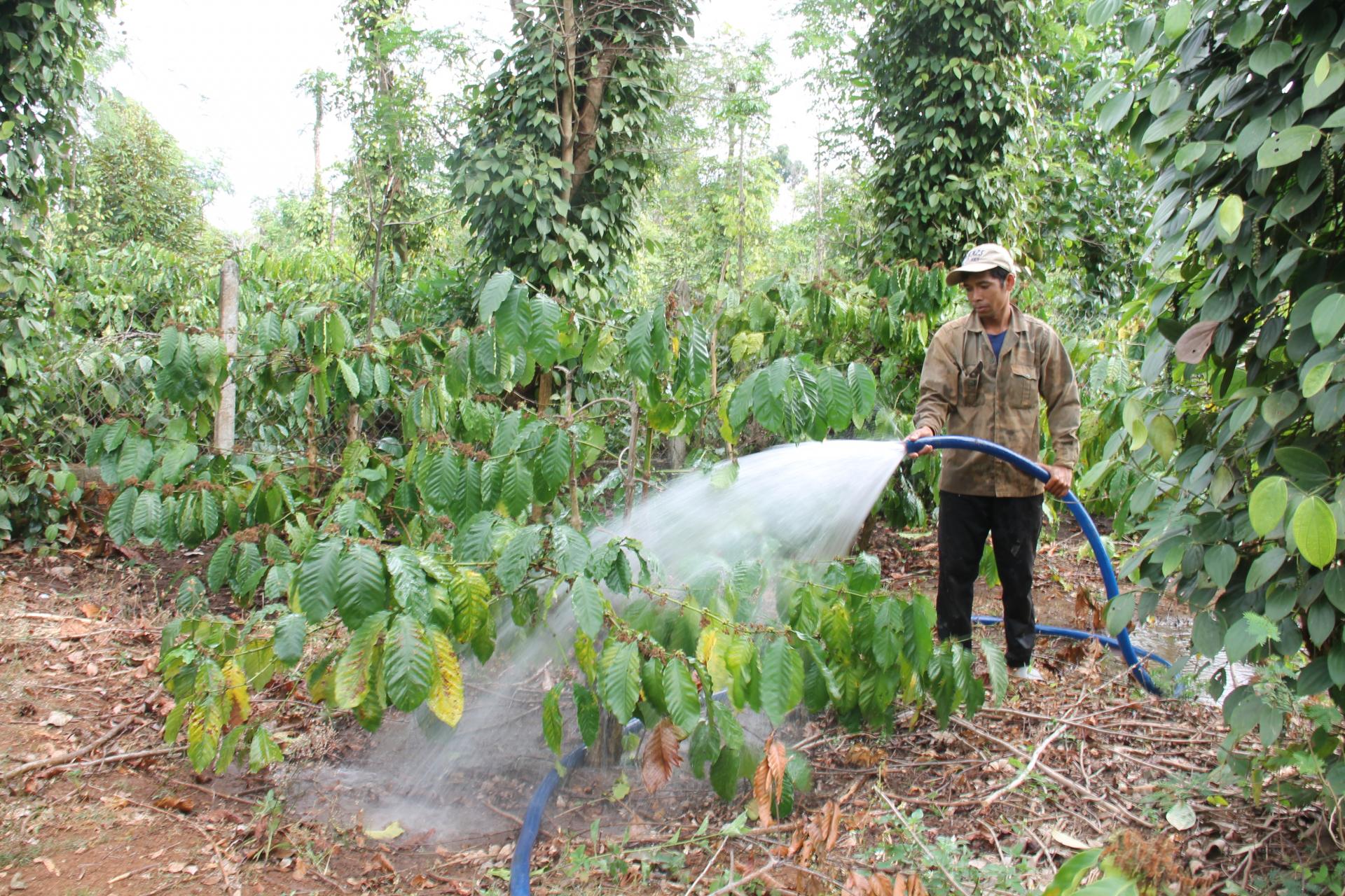 Xăng dầu liên tiếp tăng giá: Nông dân quay cuồng vì giá thuê máy gặt tăng 20.000 – 70.000 đồng/sào, HTX mất 30% lợi nhuận - Ảnh 2.