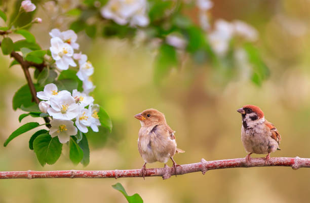 Người sinh tháng Âm lịch bên ngoài đơn giản, bên trong trí tuệ, làm việc tốt, kiếm tiền giỏi - Ảnh 3.