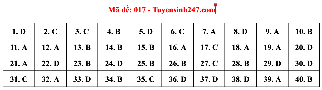 Gợi ý đáp án đề thi môn Tiếng Anh lớp 10 Hà Nội năm 2022 - Ảnh 5.