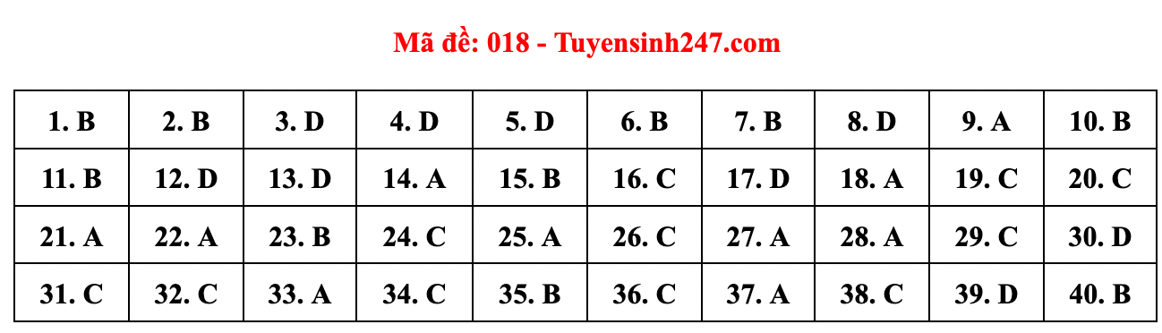 Gợi ý đáp án đề thi môn Tiếng Anh lớp 10 Hà Nội năm 2022 - Ảnh 10.