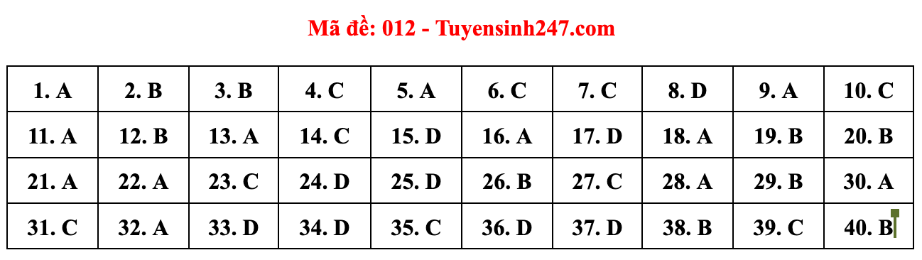 Gợi ý đáp án đề thi môn Tiếng Anh lớp 10 Hà Nội năm 2022 - Ảnh 14.