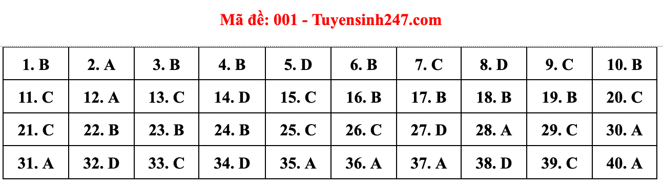 Gợi ý đáp án đề thi môn Tiếng Anh lớp 10 Hà Nội năm 2022 - Ảnh 8.