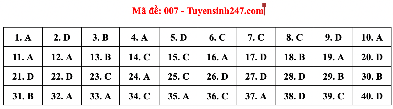 Gợi ý đáp án đề thi môn Tiếng Anh lớp 10 Hà Nội năm 2022 - Ảnh 17.