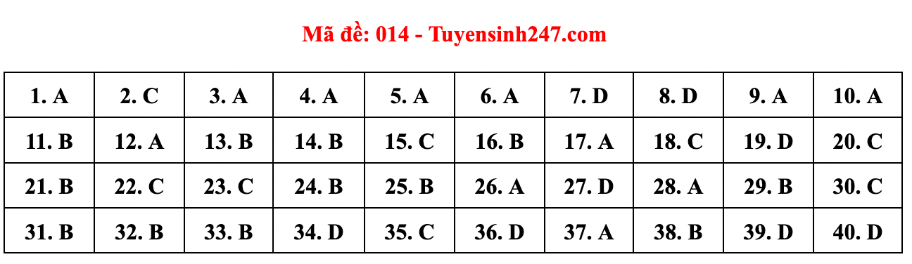 Gợi ý đáp án đề thi môn Tiếng Anh lớp 10 Hà Nội năm 2022 - Ảnh 15.