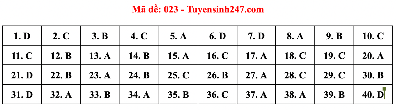 Gợi ý đáp án đề thi môn Tiếng Anh lớp 10 Hà Nội năm 2022 - Ảnh 19.