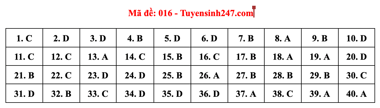 Gợi ý đáp án đề thi môn Tiếng Anh lớp 10 Hà Nội năm 2022 - Ảnh 3.