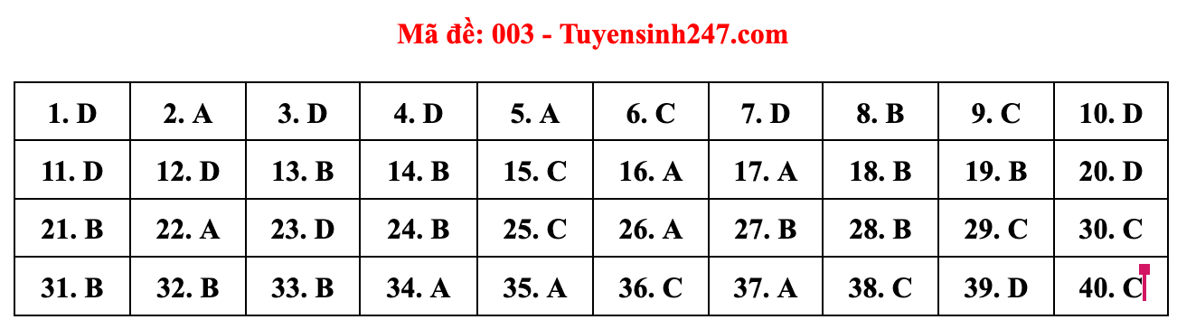 Gợi ý đáp án đề thi môn Tiếng Anh lớp 10 Hà Nội năm 2022 - Ảnh 4.