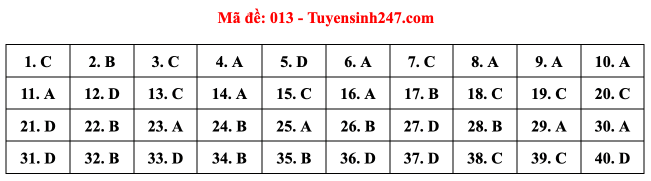 Gợi ý đáp án đề thi môn Tiếng Anh lớp 10 Hà Nội năm 2022 - Ảnh 8.