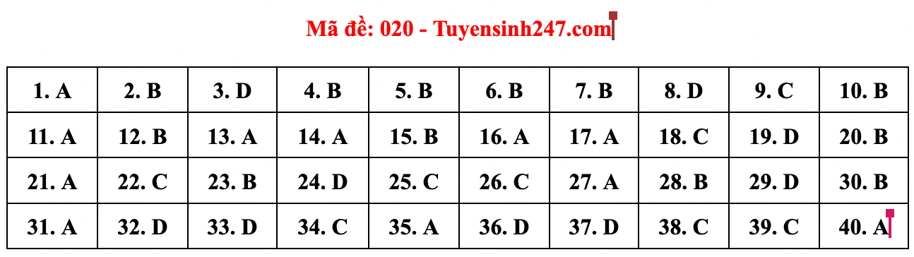 Gợi ý đáp án đề thi môn Tiếng Anh lớp 10 Hà Nội năm 2022 - Ảnh 9.