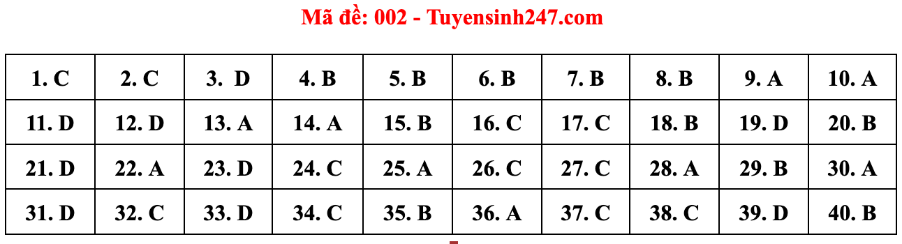 Gợi ý đáp án đề thi môn Tiếng Anh lớp 10 Hà Nội năm 2022 - Ảnh 12.