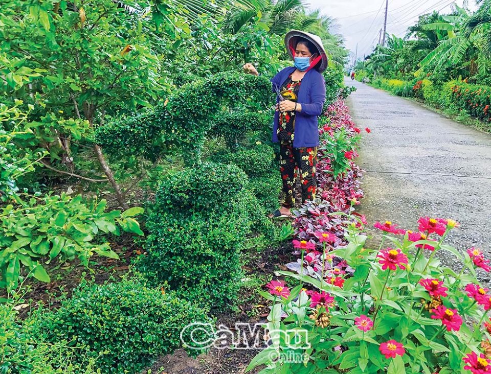 Con đường hoa mười giờ, đường trồng cây cảnh đẹp hút hồn khách chụp hình ở xã nông thôn mới của Cà Mau - Ảnh 3.