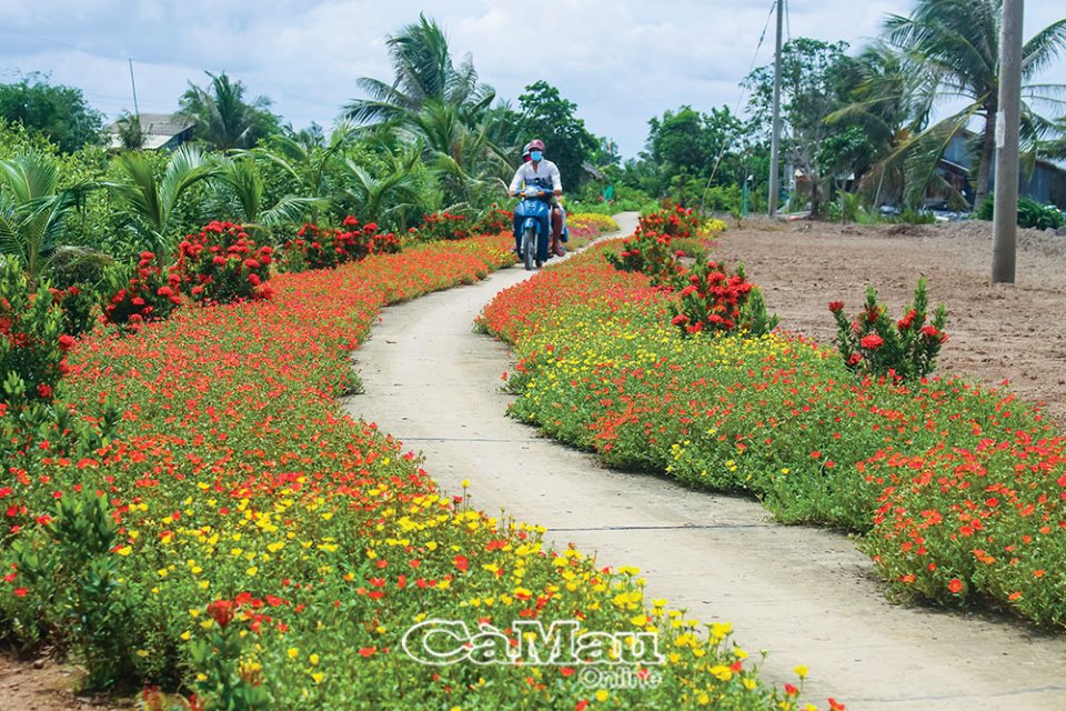 Con đường hoa mười giờ, đường trồng cây cảnh đẹp hút hồn khách chụp hình ở xã nông thôn mới của Cà Mau - Ảnh 1.