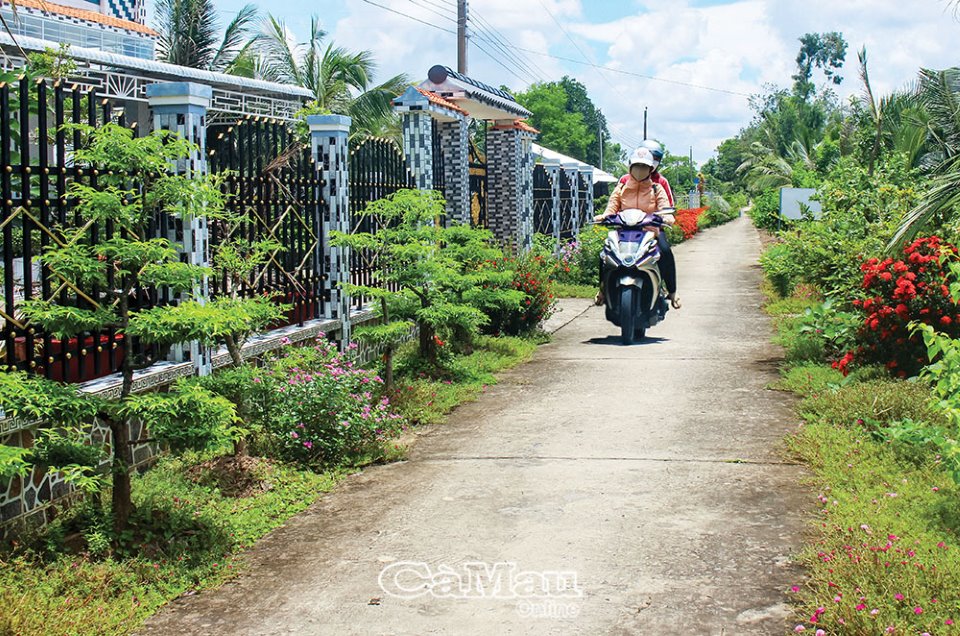 Con đường hoa mười giờ, đường trồng cây cảnh đẹp hút hồn khách chụp hình ở xã nông thôn mới của Cà Mau - Ảnh 4.
