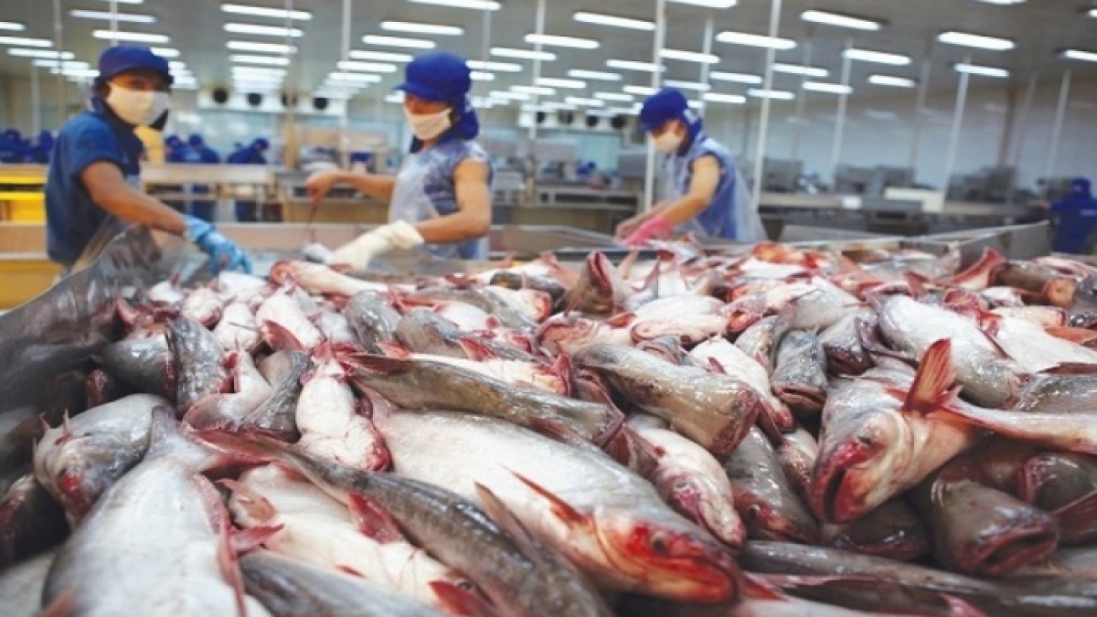 Doanh nghiệp Hoa Kỳ tăng tốc nhập khẩu thủy sản của Việt Nam - Ảnh 4.