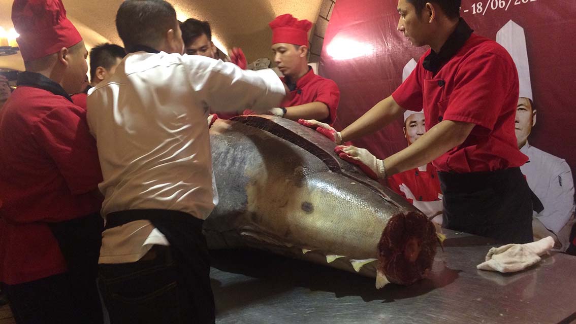Độc đáo sự kiện thưởng thức cá ngừ đại dương khổng lồ 300kg - Ảnh 2.