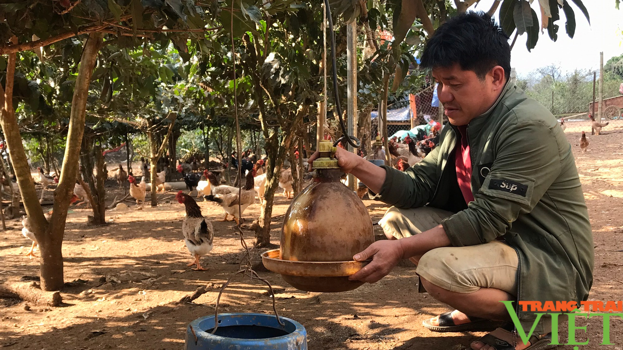 Sơn La: Những người nông dân vùng cao vượt khó phát triển kinh tế gia đình - Ảnh 4.