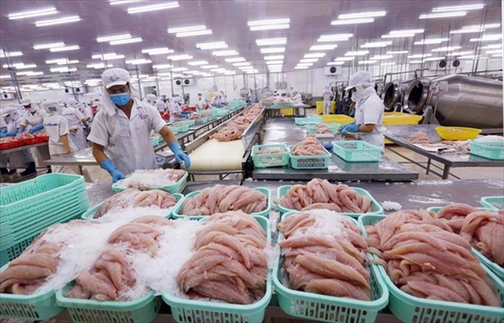 Mỹ, Trung Quốc đổ xô mua lượng lớn, Việt Nam sẽ thu 11 tỷ USD nhờ bán các loại cá, tôm? - Ảnh 1.