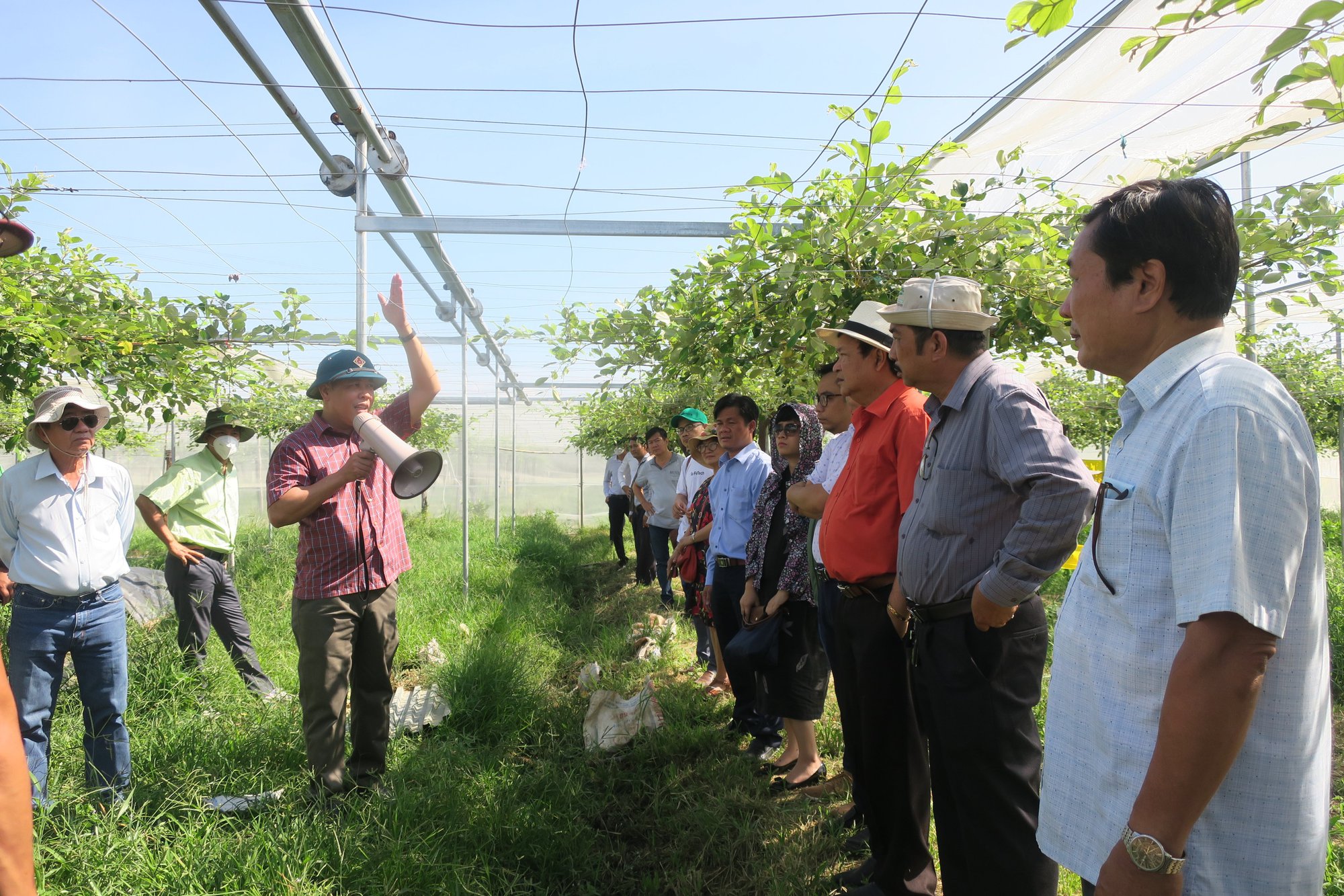 Ninh Thuận: Chất lượng dưa lưới, trái cây ngon nhờ ứng dụng công nghệ cao vào sản xuất nông nghiệp - Ảnh 5.