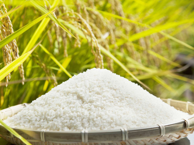 Nhu cầu thế giới tăng, cơ hội lớn cho xuất khẩu gạo Việt Nam - Ảnh 3.