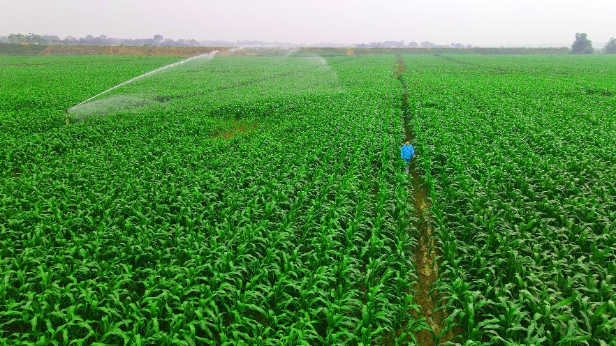 “Ông lớn” sữa Việt được mời chia sẻ về thực hành phát triển bền vững tại Hội nghị sữa toàn cầu 2022 - Ảnh 8.